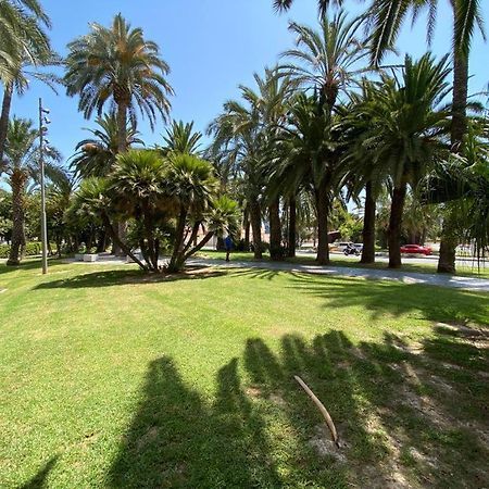 Tropical Loft Daire Alicante Dış mekan fotoğraf
