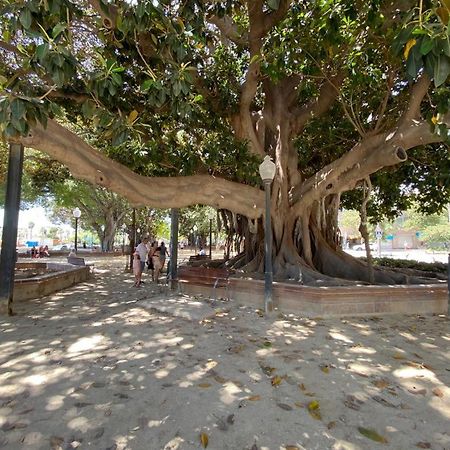Tropical Loft Daire Alicante Dış mekan fotoğraf