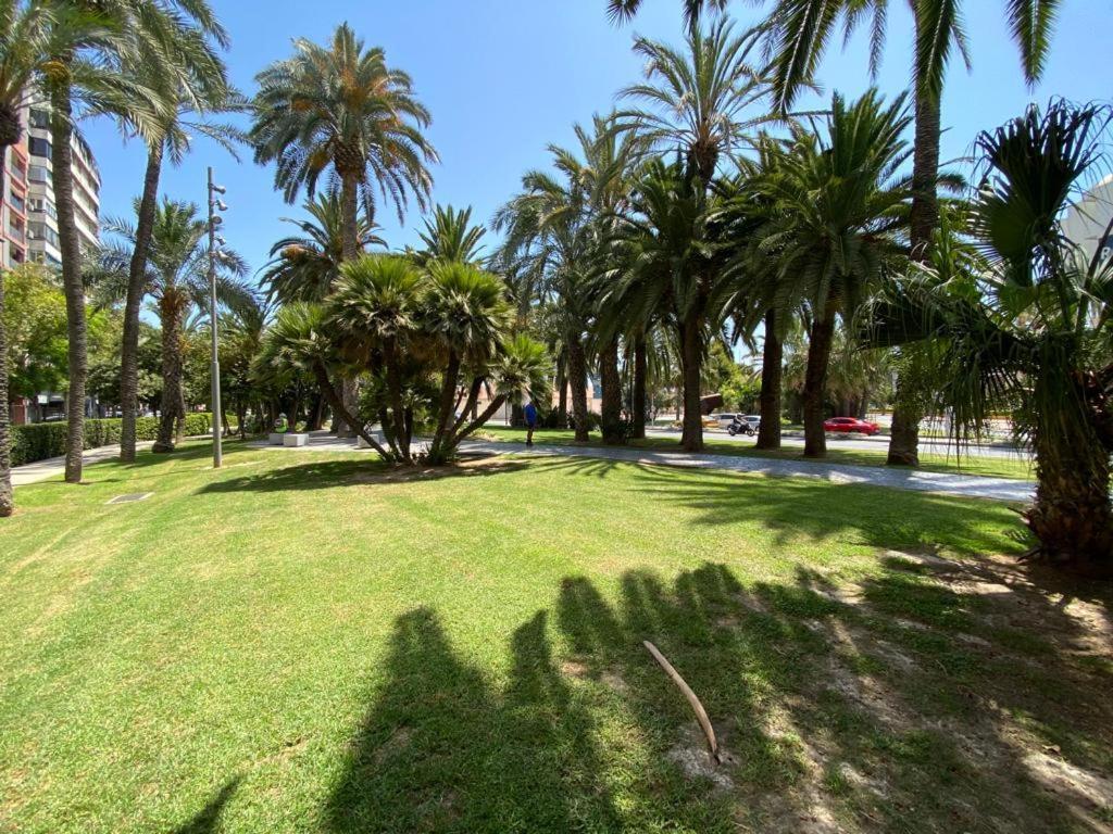 Tropical Loft Daire Alicante Dış mekan fotoğraf