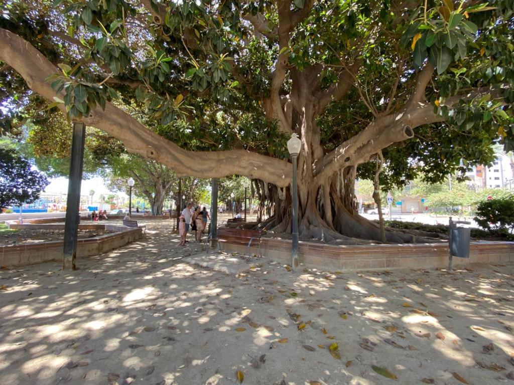 Tropical Loft Daire Alicante Dış mekan fotoğraf